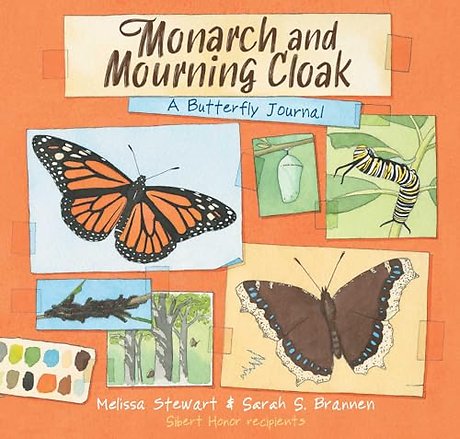 Monarch and Mourning Cloak