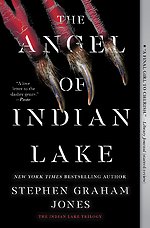 Jones, S: Angel of Indian Lake