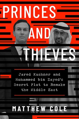Princes and Thieves