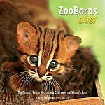 ZooBorns Cats!: The Newest, Cutest Kittens and Cubs from the World's Zoos