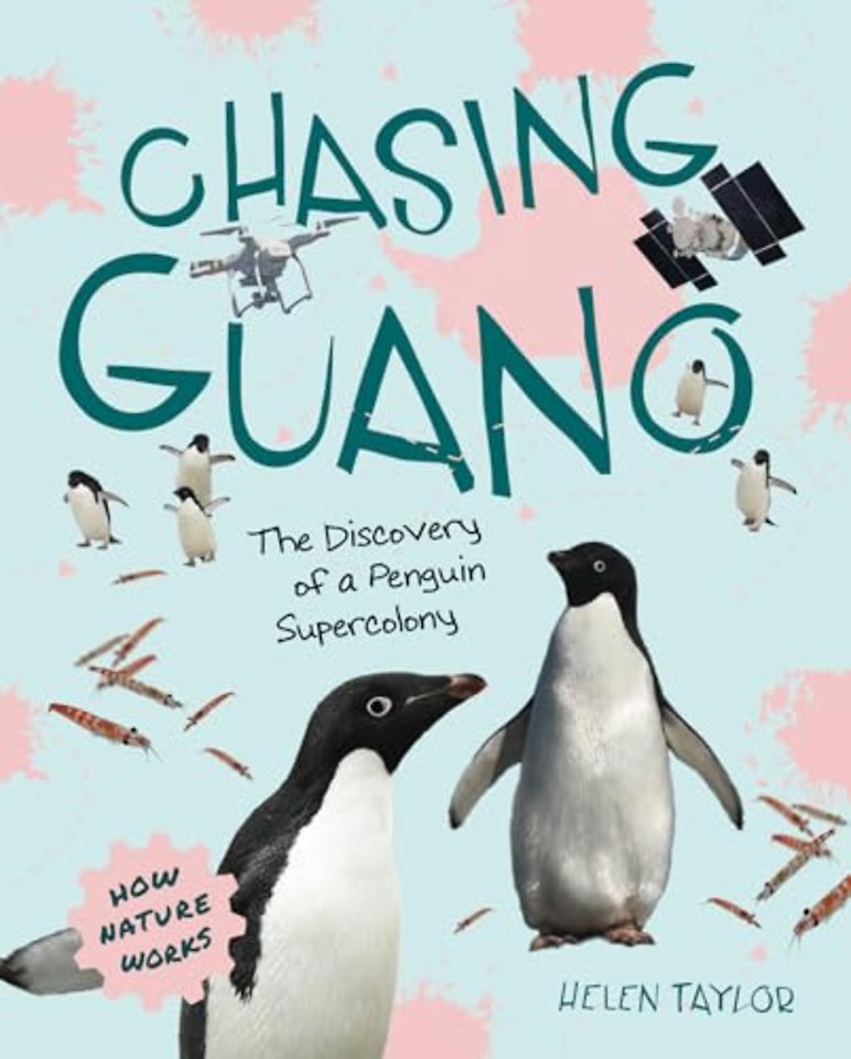 Chasing Guano