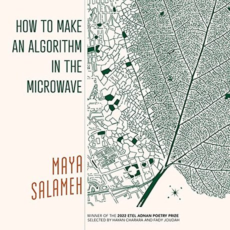 How to Make an Algorithm in the Microwave