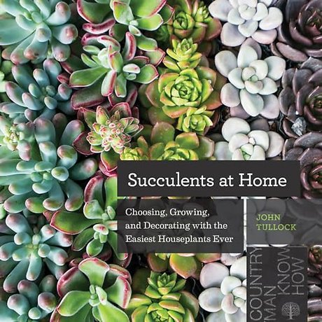 Succulents at Home – Choosing, Growing, and Decorating with the Easiest Houseplants Ever