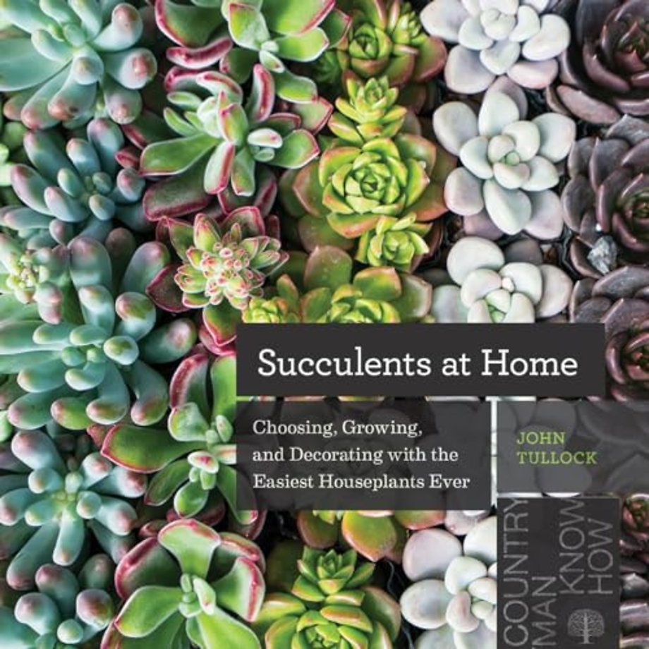 Succulents at Home – Choosing, Growing, and Decorating with the Easiest Houseplants Ever