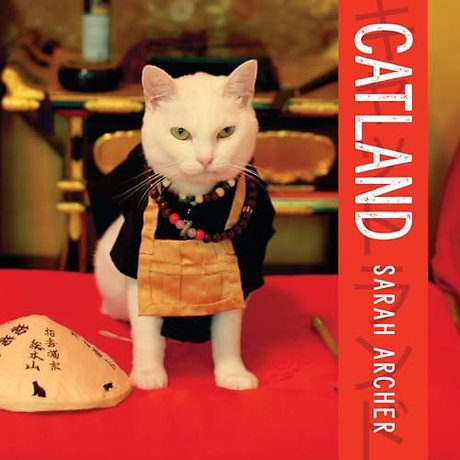 Catland