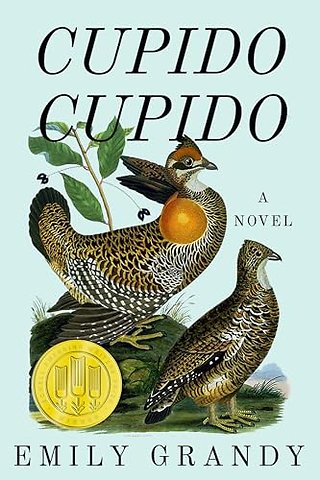 Cupido Cupido – A Novel