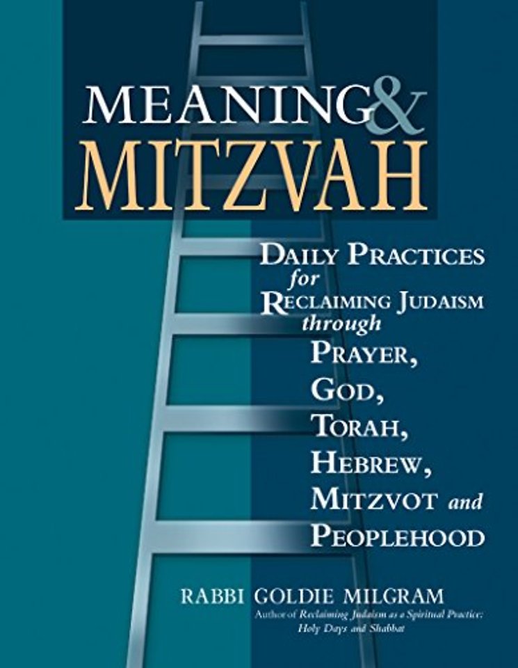 Meaning & Mitzvah