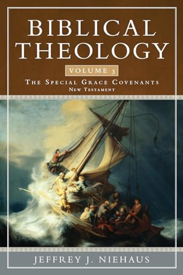 Biblical Theology, Volume 3