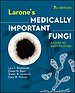 Larone′s Medically Important Fungi