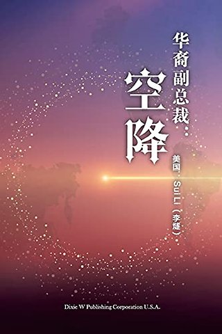 华裔副总裁