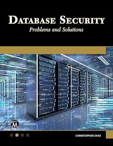 Database Security – Problems and Solutions
