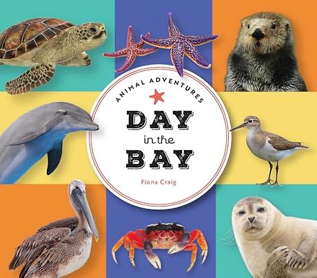Animal Adventures: Day in the Bay