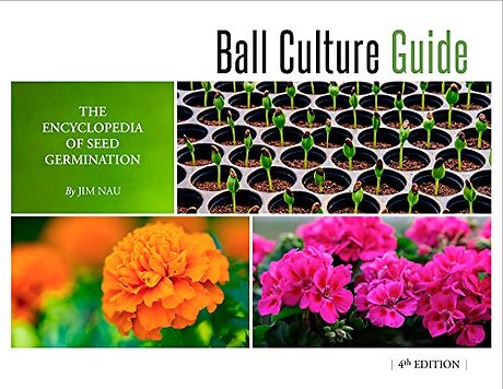 Ball Culture Guide