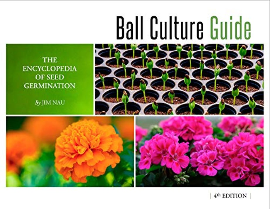 Ball Culture Guide