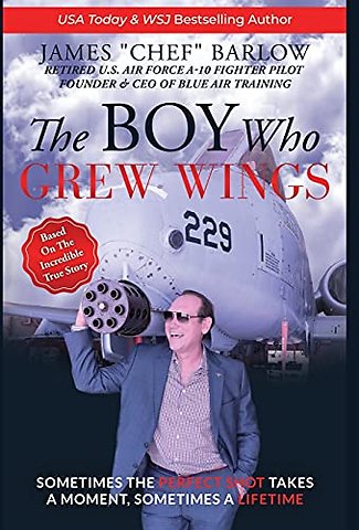 The Boy Who Grew Wings