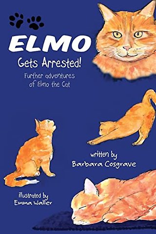Elmo Gets Arrested!