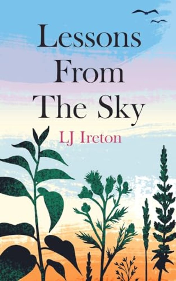 Lessons From the Sky
