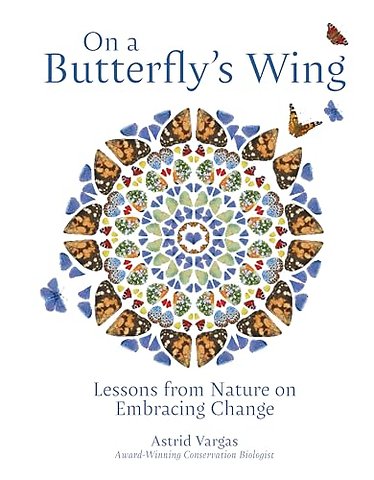 On a Butterfly's Wing