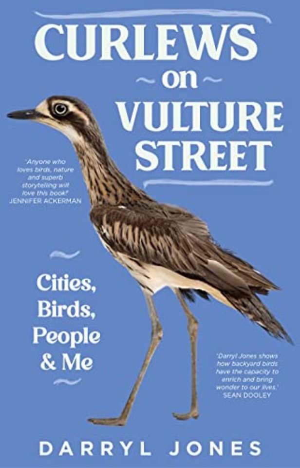 Curlews on Vulture Street – Cities, Birds, People & Me