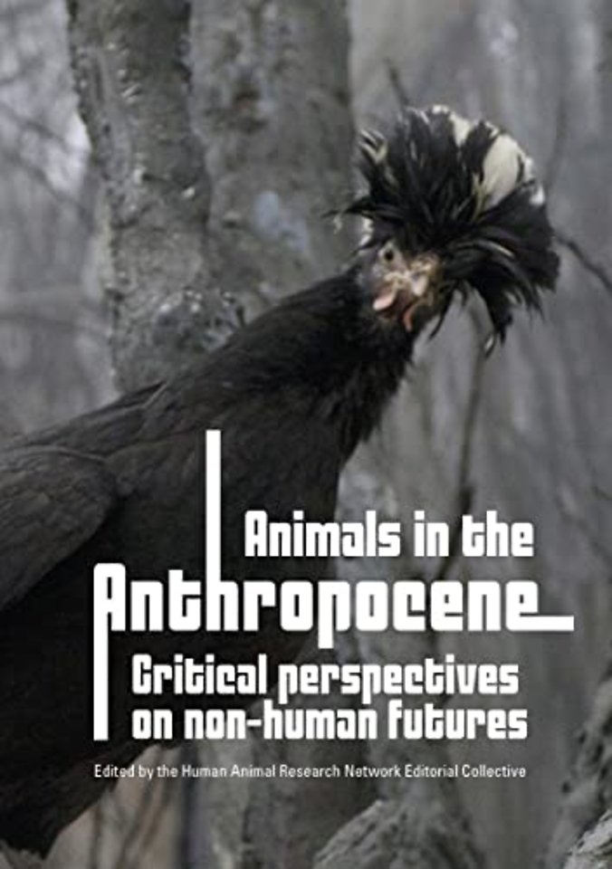 Animals in the Anthropocene