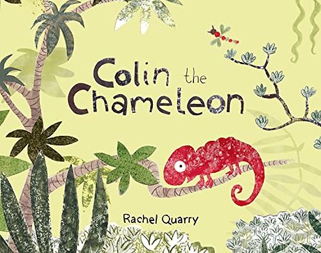 Colin the Chameleon