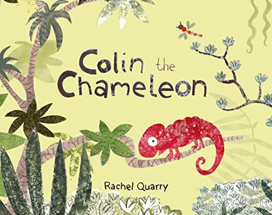 Colin the Chameleon