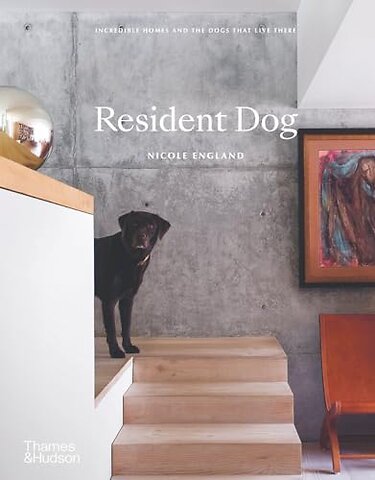 Resident Dog (compact)