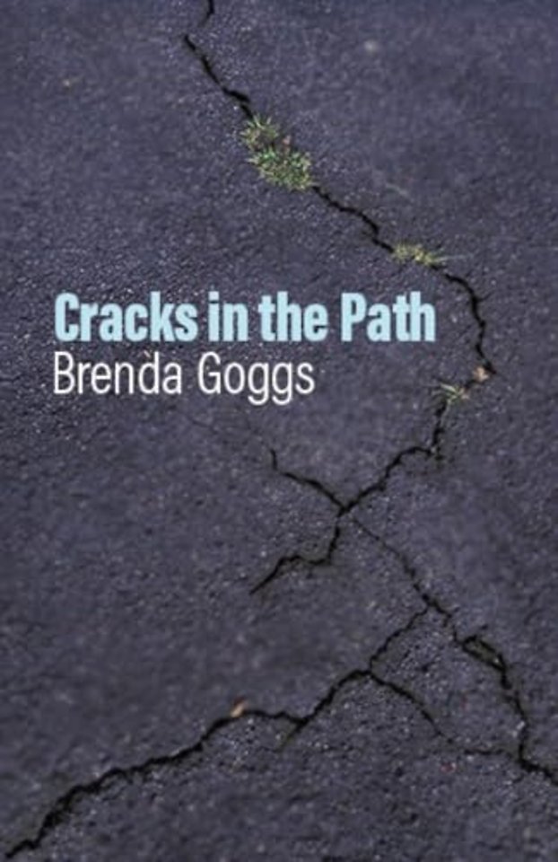 Cracks in the Path