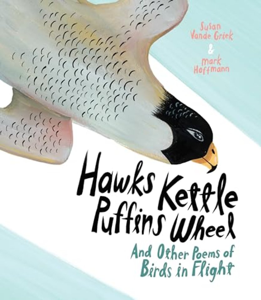 Hawks Kettle, Puffins Wheel