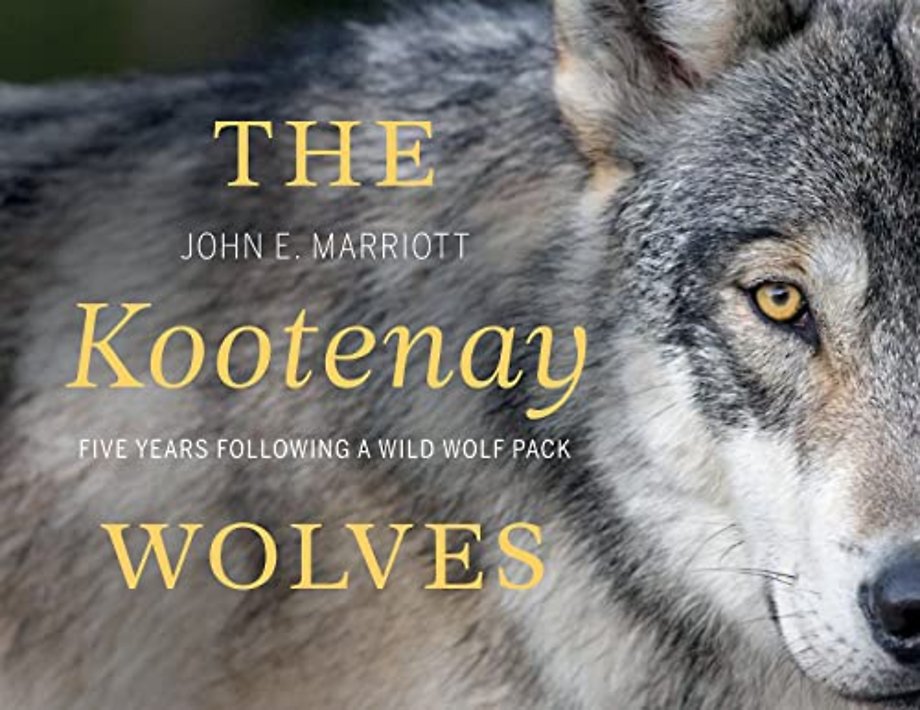 The Kootenay Wolves