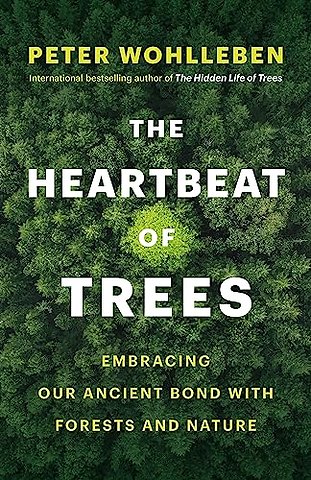The Heartbeat of Trees