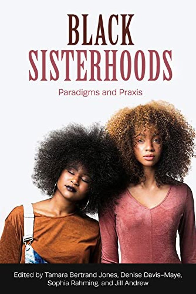 Black Sisterhoods: Paradigms and PRAXIS