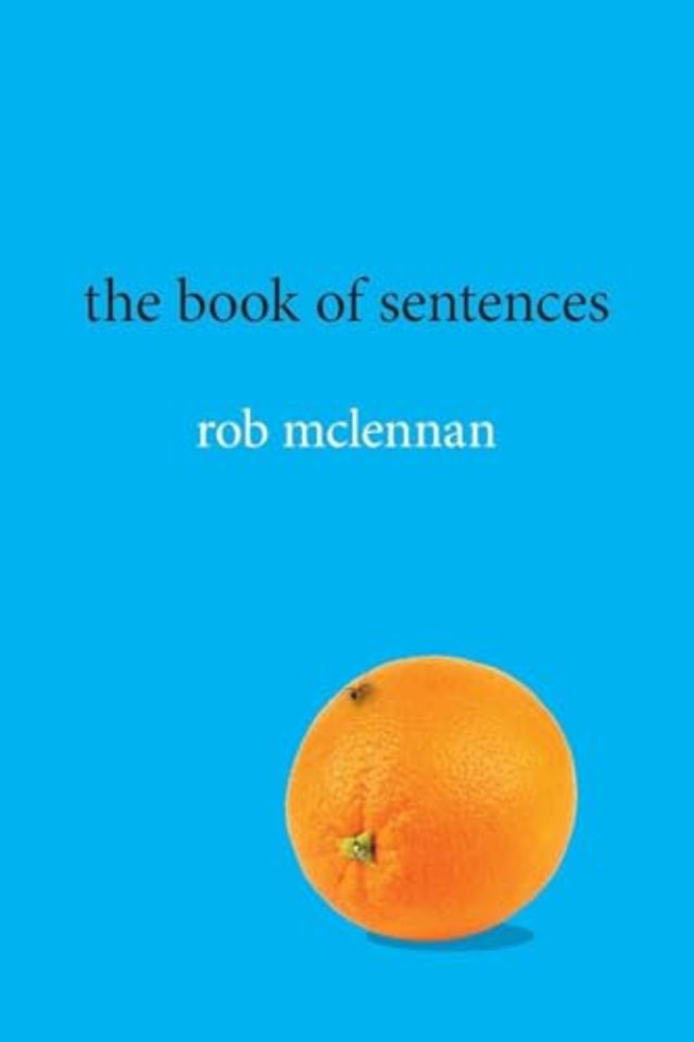 the book of sentences