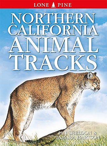 Northern California Animal Tracks