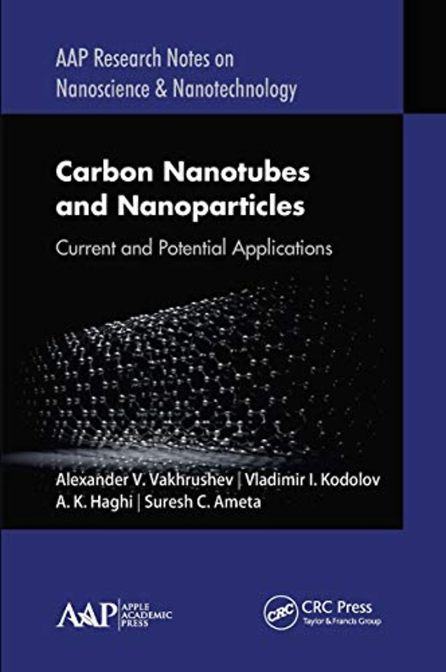Carbon Nanotubes and Nanoparticles