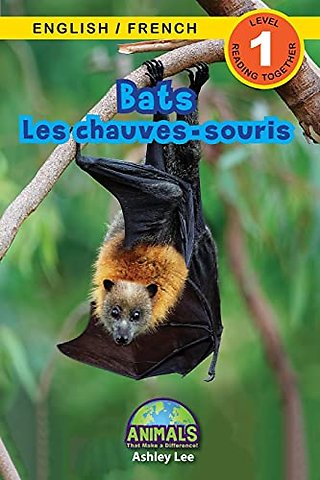 Bats / Les chauves-souris
