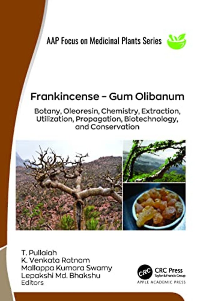 Frankincense – Gum Olibanum