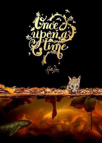 Once Upon a Time
