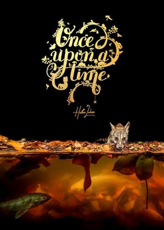 Once Upon a Time