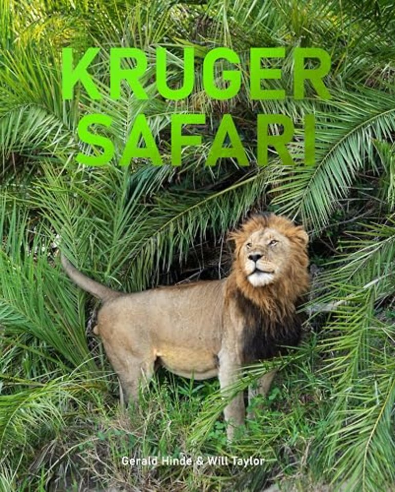 Kruger Safari