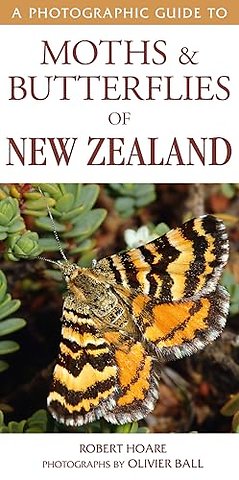 A Photographic Guide to Moths & Butterfies of New Zealand