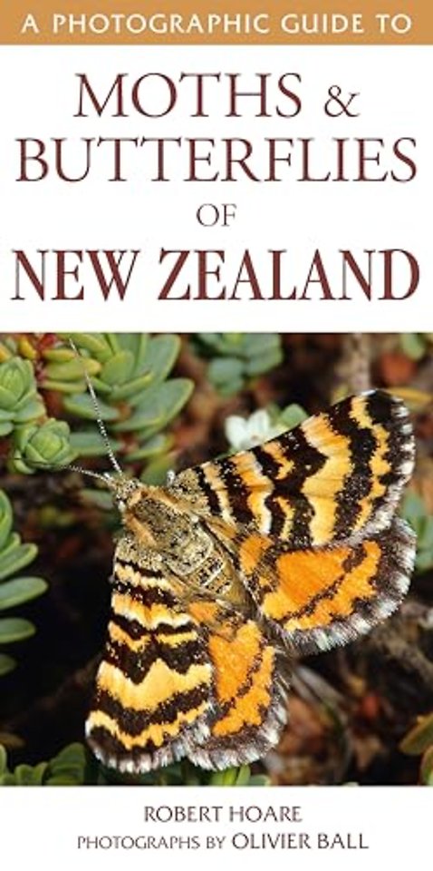 A Photographic Guide to Moths & Butterfies of New Zealand