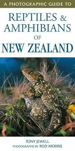 Photographic Guide to Reptiles & Amphibians of NZ