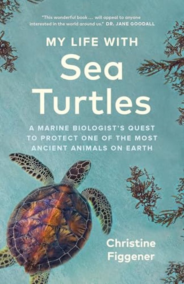My Life with Sea Turtles