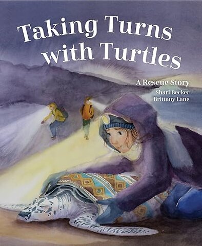 Taking Turns with Turtles