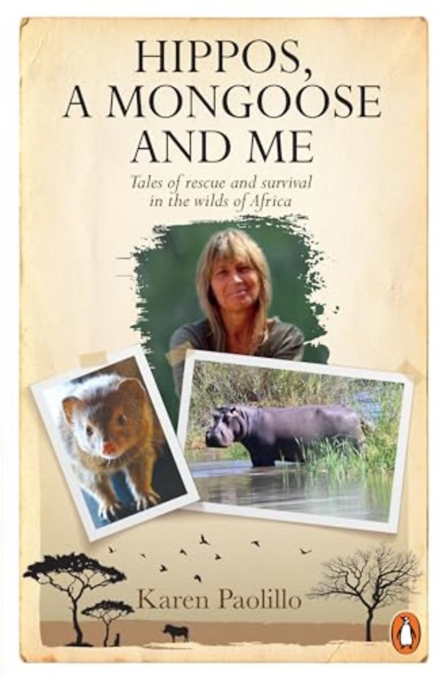 Hippos, A Mongoose and Me
