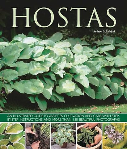 Hostas