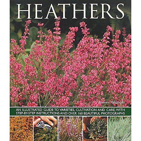 Heathers