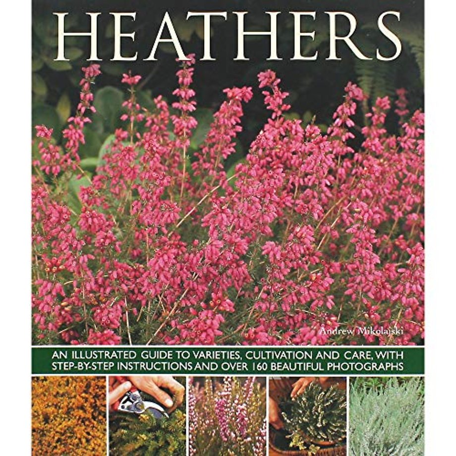 Heathers