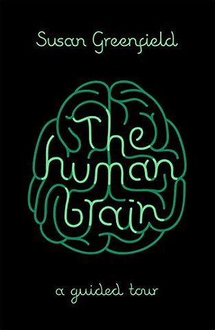 The Human Brain